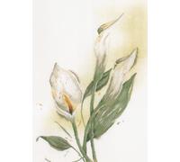 Lanarte PN-0008015 Calla Counted Cross Stitch Kit, Cotton, Multi-Colour, Approx. 50 x 60 cm / 20 x 24 Inches