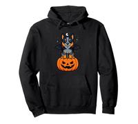 Lancashire Heeler Animal Lover Bat Costume Pumpkin Halloween Pullover Hoodie