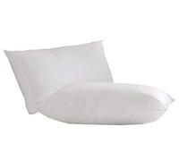 Lancashire Textiles Limited Manufacturers of quilts, pillows and homewares | FIRM Support - The BIG One 1000g (1kg) Super Bounce Filled Non-Allergenic Pillow (White)
