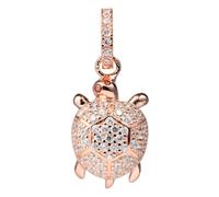 Lancaster Jlapenturtle2 Charm