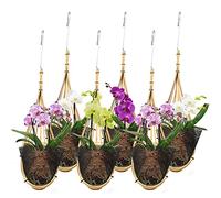 Lanccona Orchid Hanging Planter 5 Inch 6 Pack with Bird Nest Style Plant Hangers, Handmade Thai Bamboo Woven Hanging Orchid Basket for Trellis Gazebo Indoor Outdoor