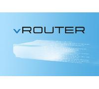 LANCOM vRouter 50 (10 Sites, 8 ARF, 5 Years)