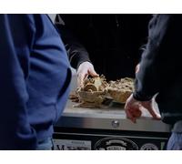 Land Grabs & Power Plays