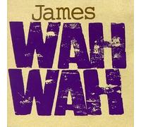 Land of the Bottom Line by Gorka, John (1990) Audio CD