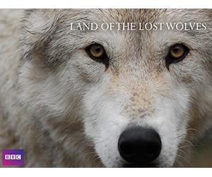 Land of the Lost Wolves
