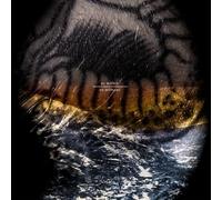 The Land Of The Snow - As Within So Without [VINYL]