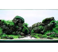 LANDEN Black Icelandic Lava Stone Natural Rocks (18lbs, 3~11 inches,11pcs) for Aquariums, Paludariums, Terrariums, Caves and Rocky Peaks, Mountainous Desert Landscapes