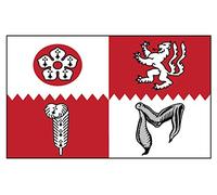 Landing Designs Pack of Two LEICESTERSHIRE EMBLEM STICKERS 127mm by 75mm Each