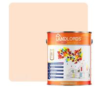 Landlords Anti Damp, Anti Mould and Condensation - Matchstick Matt Finish - 1 Litre - Prevent & Control Damp On Internal Walls & Ceilings - Easy To Apply
