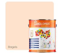 Landlords Anti Damp, Anti Mould and Condensation -Matchstick Matt Finish - 5 Litre - Prevent & Control Damp On Internal Walls & Ceilings - Easy To Apply