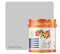 Landlords Anti Damp, Anti Mould and Condensation - Pigeon Grey Matt Finish - 2.5 Litre - Prevent & Control Damp On Internal Walls & Ceilings - Easy To Apply