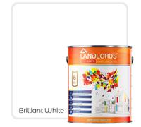 Landlords Paint - Anti-Damp Paint - Damp Proof Protection For Interior Walls & Ceilings - Ultra White - 1L