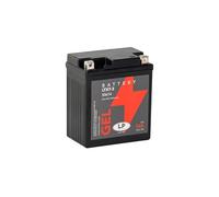 Landport Gel Starter Battery 12 volt, 6 Ah/10hr, 100 CCA With Gel Technology-Ideal For Motorcycles & Powersport Vehicles Fits Vespa 50 Primavera 4T (C53) 2013- MG LTX7-3
