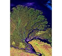 Landsat Satellite Lena River Delta Photo Art Print Canvas Premium Wall Decor Poster Mural