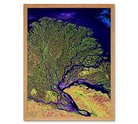 Landsat Satellite Lena River Delta Photo Art Print Framed Poster Wall Decor 12x16 inch