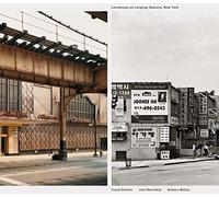 Landscape as Longing: Queen's, New York