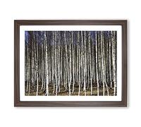 Landscape Birch Tree Forest No.3 Modern Framed Wall Art Print, Ready to Hang Picture for Living Room Bedroom Home Office Décor, Walnut A4 (34 x 25 cm)