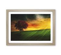Landscape Brazil Sunset and Tree Framed Print | A2 Oak Framed Wall Art | Ready to Hang | Modern Floral Picture | Living Room Bedroom Lounge Office