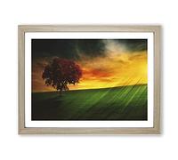 Landscape Brazil Sunset and Tree Modern Framed Print | A4 Oak Framed Wall Art | Ready to Hang | Modern Floral Picture | Living Room Bedroom Lounge Office