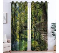Landscape Curtains Mountains Forests Wooden Bridges Streams 3D Print Pattern Eyelet Thermal Blackout Darkening Curtains Soft Soundproof Privacy Window Drapes for Living Room Bedroom 2 Panels 39 x 43