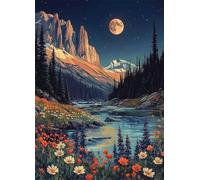 Landscape Diamond Art Moon Diamond Painting Kits for Adults Beginner 5D DIY Full Square Drill Cross Stitch Kits for Adults Arts and Crafts for Bedroom Decor, Room Decor, Gifts 30 * 40CM -bby2507GE