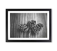 Landscape Forest Acorns Framed Print | A2 Oak Framed Wall Art | Ready to Hang | Modern Landscape Picture | Living Room Bedroom Lounge Office