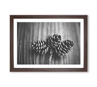 Landscape Forest Acorns Framed Print | A2 Walnut Framed Wall Art | Ready to Hang | Modern Landscape Picture | Living Room Bedroom Lounge Office
