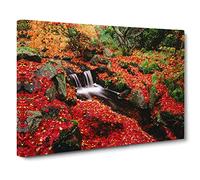 Landscape Forest Floor Stream Canvas Print | Gallery Wrapped 30mm Frame Wall Art | 20x14 inches | Ready to Hang | Modern Landscape Picture | Living Room Bedroom Lounge Office