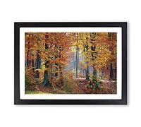 Landscape Forest in The Autumn Framed Print | A2 Oak Framed Wall Art | Ready to Hang | Modern Landscape Picture | Living Room Bedroom Lounge Office