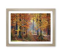 Landscape Forest in the Autumn Modern Framed Print | A3 Oak Framed Wall Art | Ready to Hang | Modern Landscape Picture | Living Room Bedroom Lounge Office