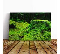 Landscape Forest Moss Norway Canvas Print | Gallery Wrapped 30mm Frame Wall Art | 30x20 inches | Ready to Hang | Modern Landscape Picture | Living Room Bedroom Lounge Office
