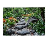 Landscape Jigsaw Puzzles for Adults 2000, 2000 Piece Jigsaw Puzzles for Adults, 99.5x70.5cm Hard Impossible Wooden Puzzle, Challenging Game for the Whole Family, Home Decor, Theme: (Tropical), -7435