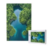 Landscape Jigsaw Puzzles for Adults 3000 Forest Large Jigsaw Puzzles for Adults, Funny/Difficult/Impossible/Challenging Decompression Games, As a Birthday for Women and Men 2T-1809