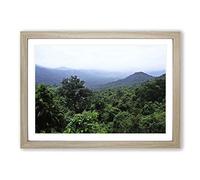 Landscape Jungle Rainforest (1) Framed Print | A2 Oak Framed Wall Art | Ready to Hang | Modern Landscape Picture | Living Room Bedroom Lounge Office