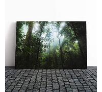 Landscape Jungle Rainforest (2) Canvas Print | Gallery Wrapped 30mm Frame Wall Art | 20x14 inches | Ready to Hang | Modern Landscape Picture | Living Room Bedroom Lounge Office