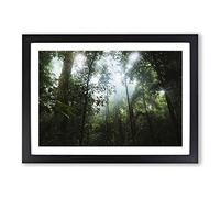 Landscape Jungle Rainforest (2) Framed Print | A2 Black Framed Wall Art | Ready to Hang | Modern Landscape Picture | Living Room Bedroom Lounge Office