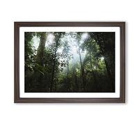 Landscape Jungle Rainforest (2) Framed Print | A2 Walnut Framed Wall Art | Ready to Hang | Modern Landscape Picture | Living Room Bedroom Lounge Office