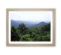 Landscape Jungle Rainforest No.1 Modern Framed Print | A2 Oak Framed Wall Art | Ready to Hang | Modern Landscape Picture | Living Room Bedroom Lounge Office