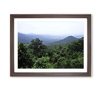 Landscape Jungle Rainforest No.1 Modern Framed Print | A4 Walnut Framed Wall Art | Ready to Hang | Modern Landscape Picture | Living Room Bedroom Lounge Office