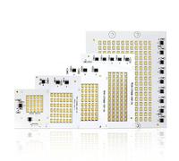 Landscape Lights 5pcs AC220V LED Chip Lamp 10W 20W 30W 50W 100W SMD 2835 Flood Light Beads Led Floodlight Outdoor Lighting Spotlight Street(50W 220V,Cold White)