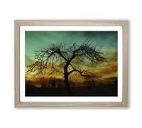Landscape Lone Tree Setting Sun Modern Framed Wall Art Print, Ready to Hang Picture for Living Room Bedroom Home Office Décor, Oak A2 (64 x 46 cm)