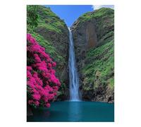 Landscape Paint by Numbers Kit for Adults Waterfall Craft Kits with Brushe Acrylic Paint Set Canvas for Painting 20 x 28In Canvas Wall Art Supplies for Fall Decor, Gifts for Women Room Decor JLYH-5450