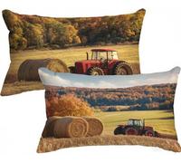 Landscape Pillow Cases 2 Pack Car Cushion Covers 50cm x 80cm, Outdoor Cushions Linen Decorative Pillows Double-Sided Printing with Invisible Zipper for Sofa Bedroom Home Decor, Gifts for Women X-226