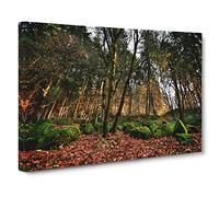 Landscape Portland Oregon Forest Wood USA Modern Canvas Wall Art Print Ready to Hang, Framed Picture for Living Room Bedroom Home Office Décor, 24x16 Inch (60x40 cm)