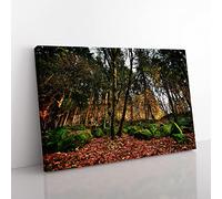 Landscape Portland Oregon Forest Wood USA Modern Canvas Wall Art Print Ready to Hang, Framed Picture for Living Room Bedroom Home Office Décor, 76x50 cm (30x20 Inch)