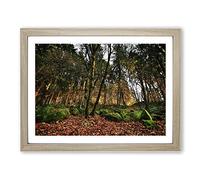 Landscape Portland Oregon Forest Wood USA Modern Framed Wall Art Print, Ready to Hang Picture for Living Room Bedroom Home Office Décor, Oak A3 (46 x 34 cm)
