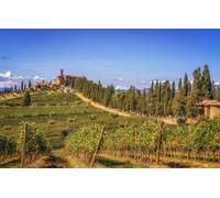 Landscape Puzzle 200 Pieces - Suitable for Adults - Relaxation Aid - Easy Fitting of Pieces - Ideal for a Gift, Hills, Italy, Vineyard, Tuscany, Landscapes, 35x25CM