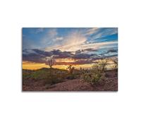 Landscape Sonoran Desert Sunset Saguaro Art Posters Are Suitable for Decorating Living Room, Bedroom, Study, Restaurant, Corridor, Children's Room, EtcUnframe-style 20x30inch(50x75cm)