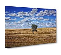 Landscape South Dakota Lone Tree USA Canvas Print | Gallery Wrapped 30mm Frame Wall Art | 20x14 inches | Ready to Hang | Modern Landscape Picture | Living Room Bedroom Lounge Office