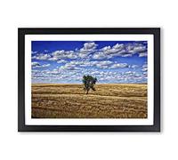 Landscape South Dakota Lone Tree USA Framed Print | A2 Black Framed Wall Art | Ready to Hang | Modern Flag Picture | Living Room Bedroom Lounge Office